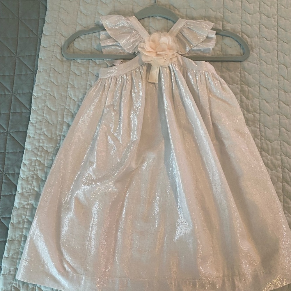 Crewcuts Silver Shimmer Dress